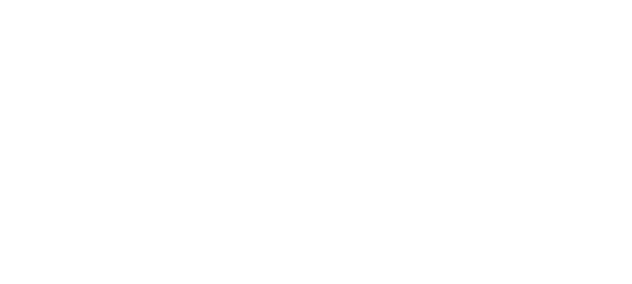Kiwi Digital Media